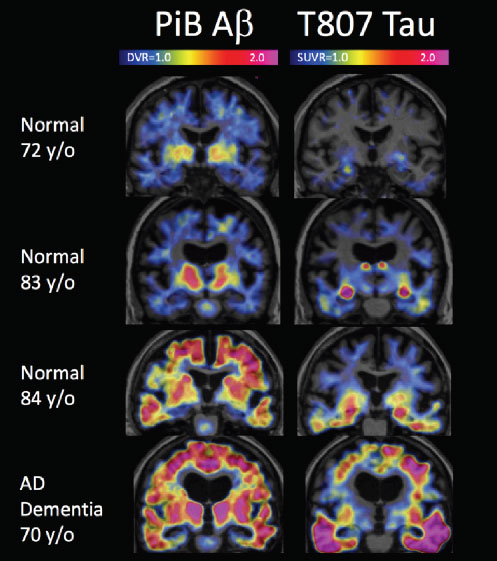 fig3