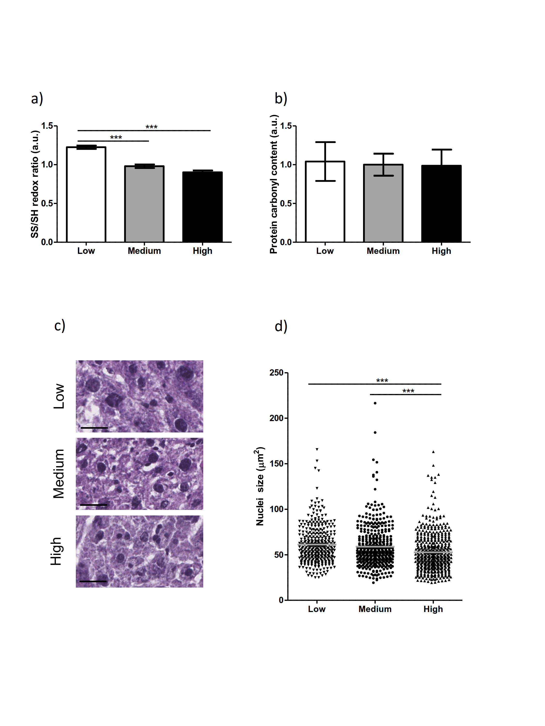 Figure 3. High vitamin E reduces polyploidization in the liver of Xpg-/- mice
