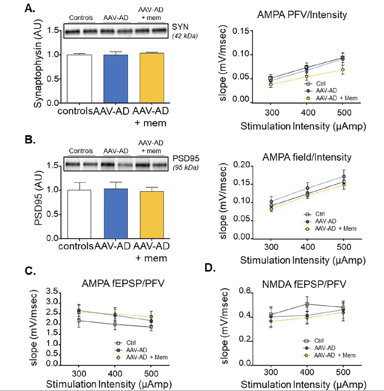 prevention • The Journal of Prevention of Alzheimer's Disease